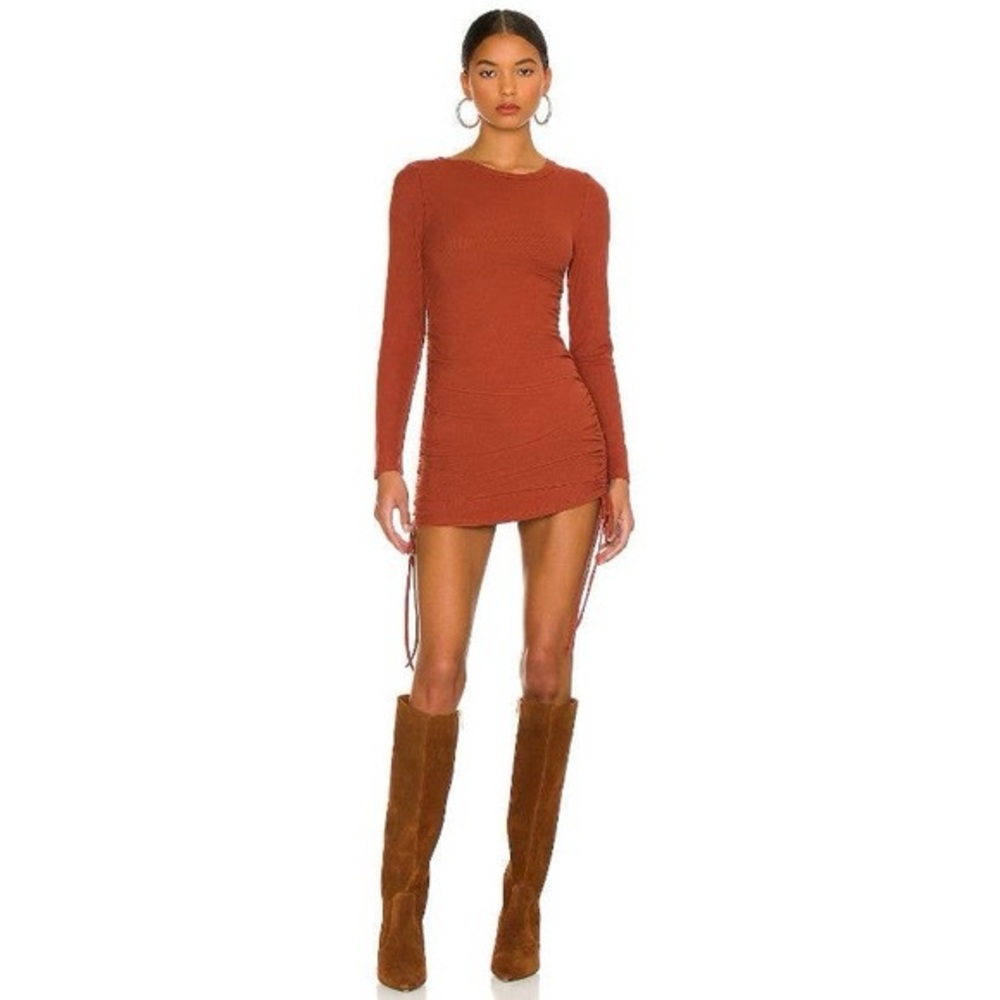 BB Dakota brown long sleeve mini dress